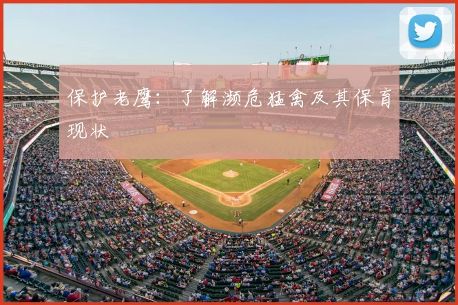 保护老鹰：了解濒危猛禽及其保育现状