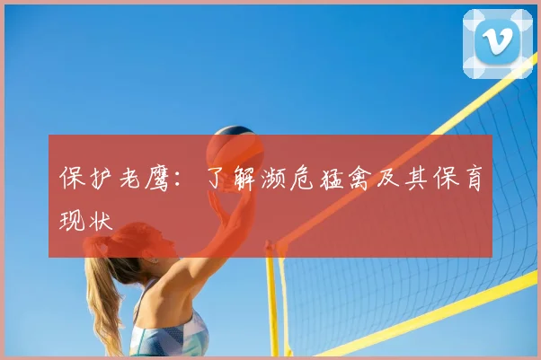 保护老鹰:了解濒危猛禽及其保育现状